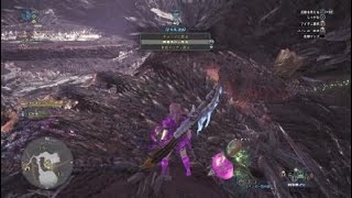 ソロ王ネギ