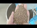 High Yield Sesame Cleaning Machine Z310 20 Tons Per Hour Sesame Sesamecleaner Seedcleaner