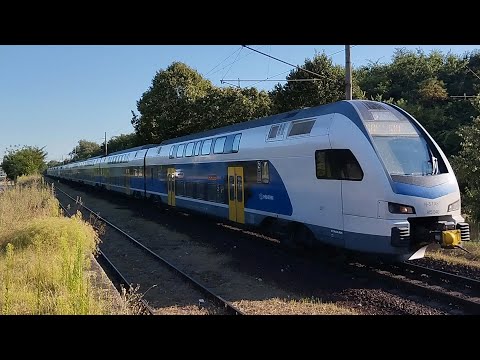 Jégmadár Expressz (Maroshegy, Székesfehérvár)