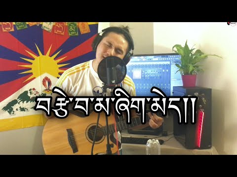 #LoopcovertibetanSong #tsewamashimeh #yakzstudio #Tenkun #namgyaltsering