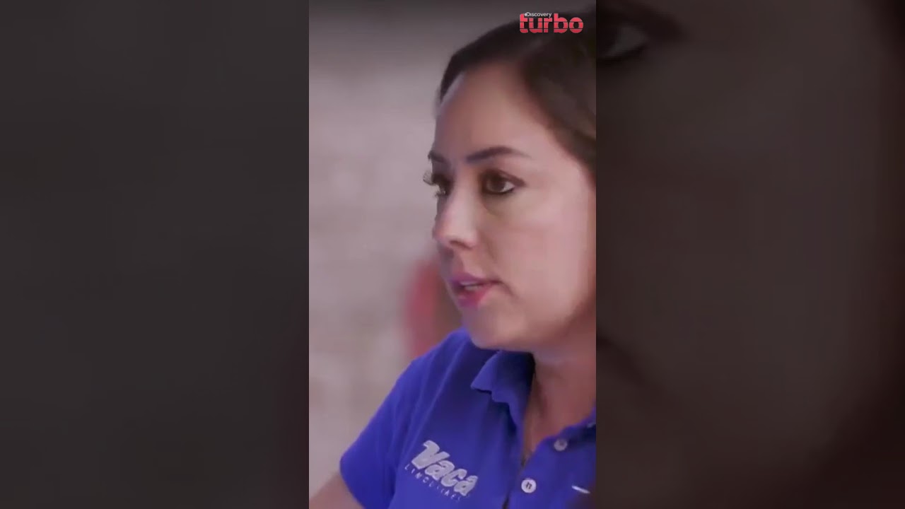 Apresentação oficial da carroça panorâmica concluída