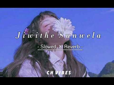 Jiwithe Sunwela - ජීවිතේ සුන්වෙලා (Slowed x Reverb)