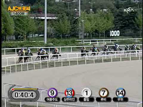 2010 AJC Trophy - Yeopungjudo