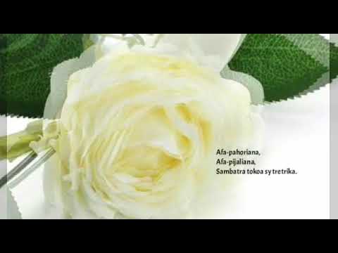 FFPM 700 Ao Ny Andro Lehibe