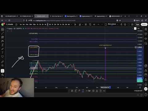 KTA Keeta The Cheetah MULTI HUNDRED X POTENTIAL
