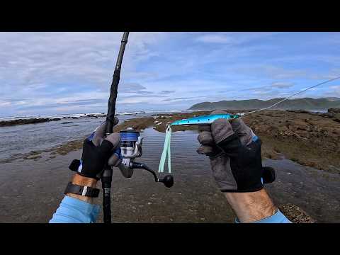 9 Days PANAMA SURF FISHING QUEST For A ROOSTER - Episode 1 of 2