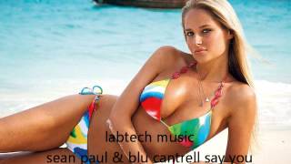 sean paul &amp; blu cantrell say you love me remix