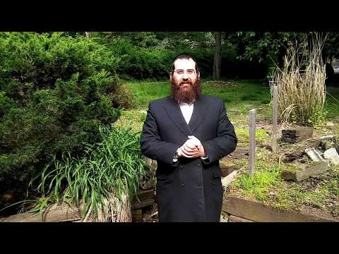 Parshas Bamidbar 5777 - Rabbi Aryeh Royde