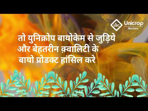 Brown seaweed extract liquid, for agriculture, box packing