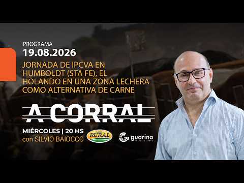 JORNADA DE IPCVA EN HUMBOLDT (STA FE), EL HOLANDO EN UNA ZONA LECHERA COMO ALTERNATIVA DE CARNE