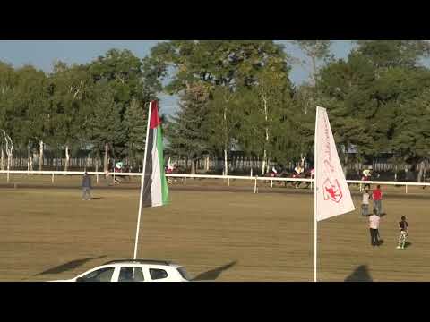 Trka "Kup Zobnatice UAE Embassy Cup" 18.09.2021 Eiskoing - Goran Stanarević