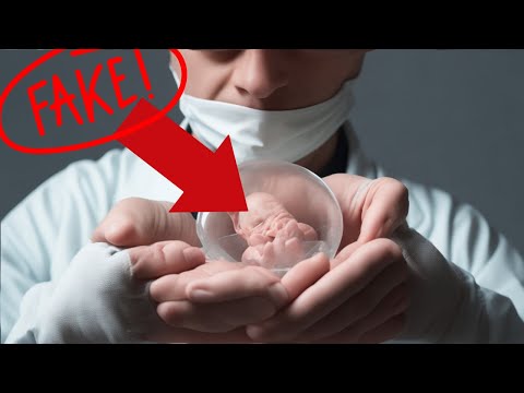 The Future Of Human Reproduction: Synthetic Embryos