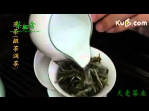 download lagu mp3 mp4 Peony Flower Tea, download lagu Peony Flower Tea gratis, unduh video klip Peony Flower Tea