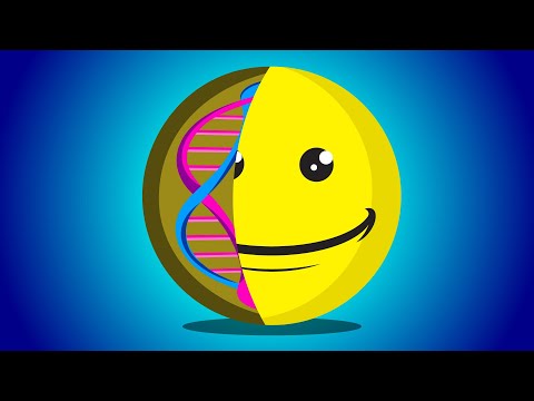 The surprising science of happiness!