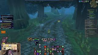 Druid Leveling Journey | TBC Anniversary WoW