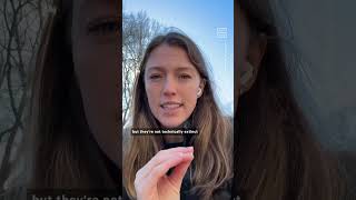 Why Chestnut Trees, Once an American Staple, Are Nearly Extinct