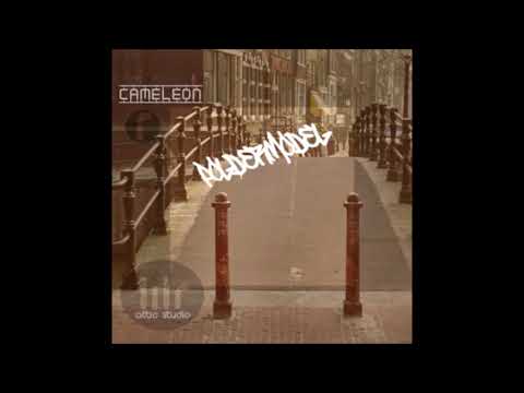 Poldermodel - Cameleon,Rooiboss,We r