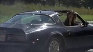 Bobby Fuller Four I Fought The Law Subtitulado Español Deejay Lovemaker