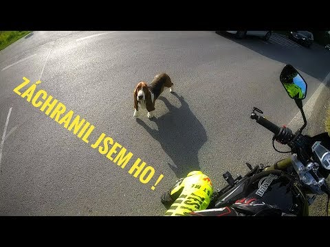 To NEJLEPŠÍ a NEJHORŠÍ z roku 2017  + Bonus video Martin Krátký