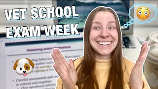 VET SCHOOL FINAL EXAM VLOG: part 2! What being a vet student is like during exams 🩺