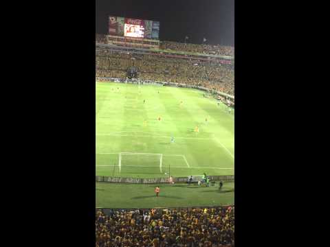 "Su mujer - libres y lokos - Tigres vs Inter Porto Alegre" Barra: Libres y Lokos • Club: Tigres