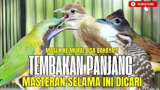 Download lagu MASTERAN NGERET MENJERIT KASAR || CUNGKOK KUNTI BESETAN JENGGOT TEMBAKAN SAMPIT Kombinasi SIRI SIRI mp3 Download lagu MASTERAN NGERET MENJERIT KASAR || CUNGKOK KUNTI BESETAN JENGGOT TEMBAKAN SAMPIT Kombinasi SIRI SIRI mp3