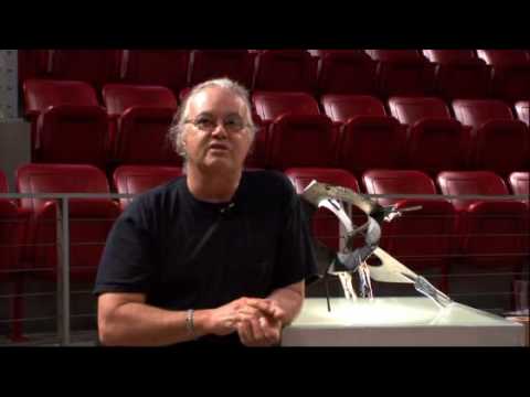 download lagu mp3 mp4 Shelton Artist, download lagu Shelton Artist gratis, unduh video klip Shelton Artist