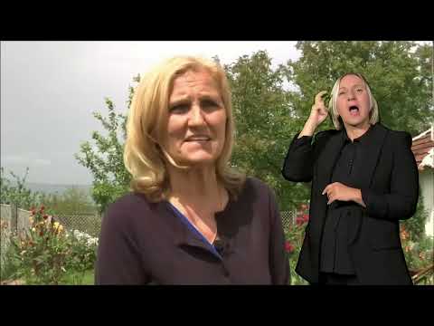 Pristupačan program: Trag - Majstorsko pismo (SZJ)