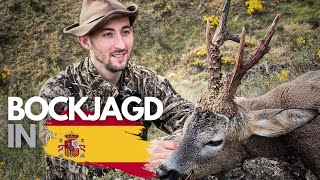Bockjagd in Spanien I Goldmedaillen und abnorme Böcke