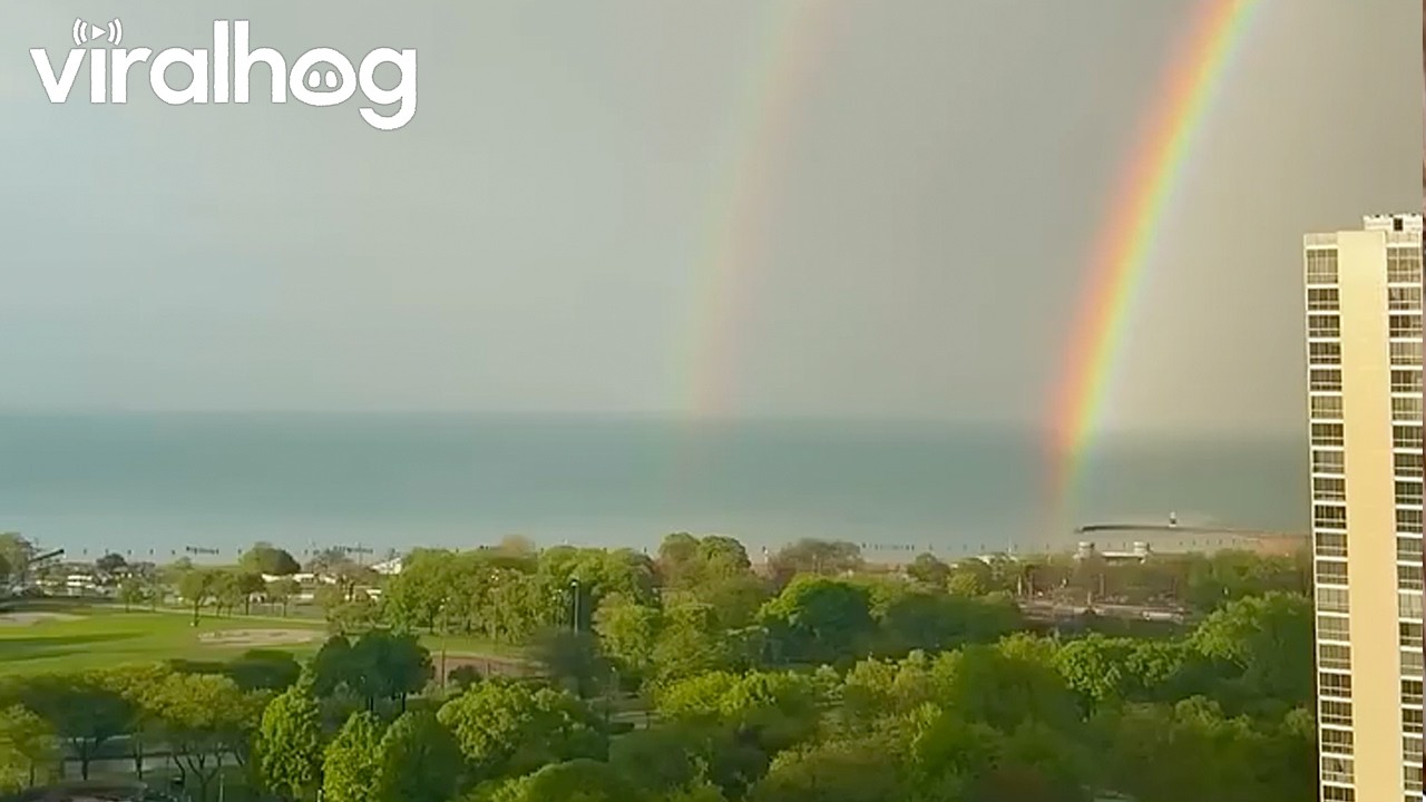 Double Rainbow Over Chicago Skyline || ViralHog