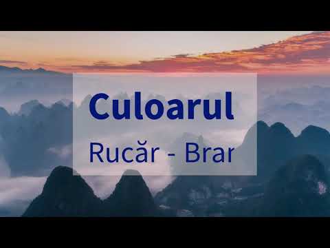 Secvențe de toamnă din culoarul Rucăr _ Bran