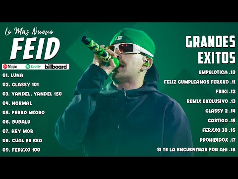 Feid 2024 - Mejores Canciones de Feid 2024 | Grandes Éxitos De Feid - Mix Reggaeton 2024