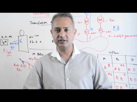 Immunology lecture 14 (Type II Hypersensitivity Reactions)