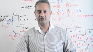 Immunology lecture 14 (Type II Hypersensitivity Reactions)