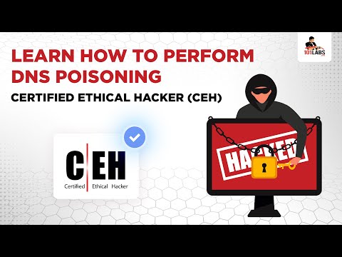 CompTIA Security 101 Labs l Hping