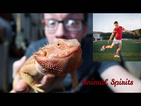 Vulfpeck - Animal Spirits - Guitar Cover By Mike Smith (with TAB)