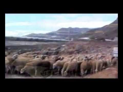 El Ejido, evolución de un pueblo (Parte 1)