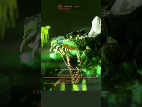 Farming The Snake For 300k XP