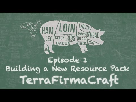 TerraFirmaCraft Ep01: Building a New Resource/Texture Pack in Survival