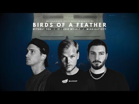 Birds Of A Feather (Amél Remix) / Without You / If I Lose Myself / Midnight City (3DGARFAST MASHUP)