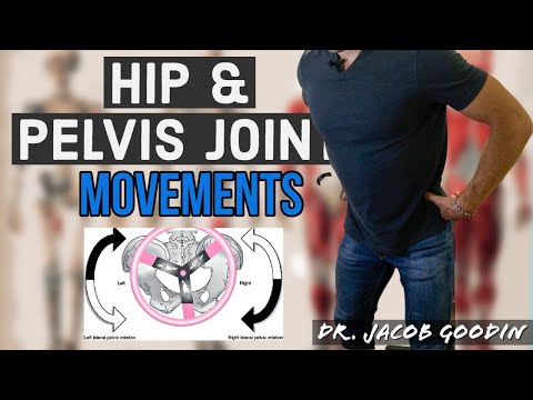 Hip Joint & Pelvic Girdle Anatomy: Joint Movements