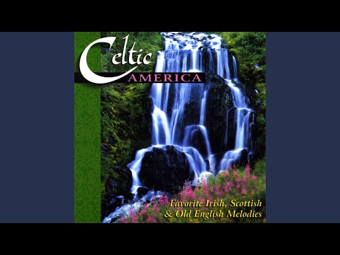 The Irish washerwoman