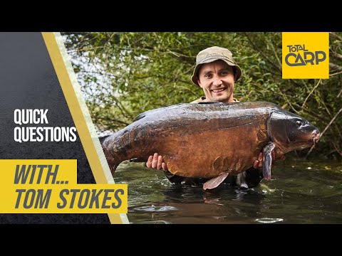 Quick Questions with Tom Stokes | #quickquestions