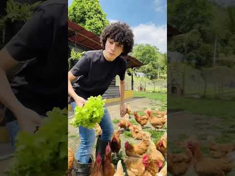 Nos fuimos!! #shorts