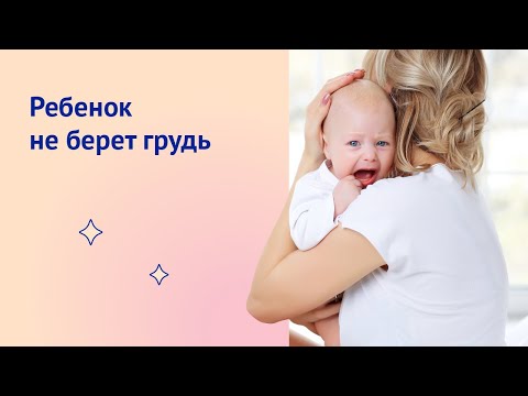 Малыш не берет грудь