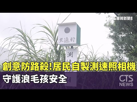 創意防路殺！　居民自製測速照相機　守護浪毛孩安全