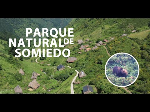 Vídeo Parque Natural de Somiedo