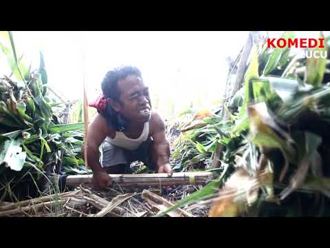 demi-motor-baru-rela-angkat-beban-berat-komedi-lucu