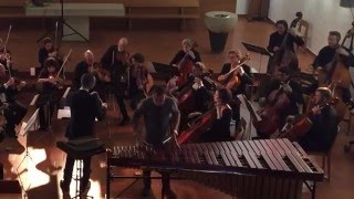 Alain Tissot - Concerto pour marimba et orchestre à cordes - Mvmt 1