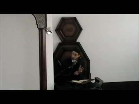 Nedzat ef. Ljajic - Tefsir Sure Ez-Zumer; Ajeti 1-5